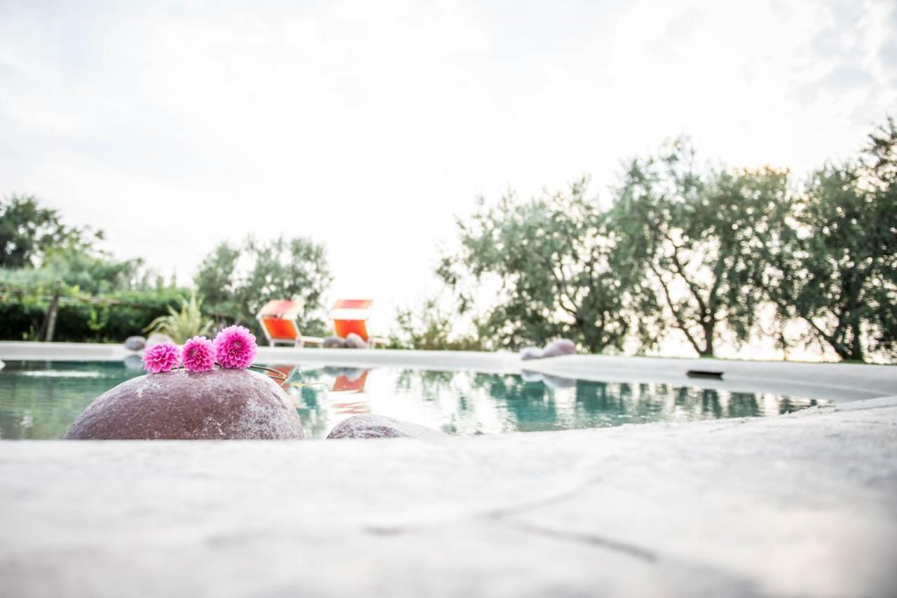 Bauernhof Agriturismo Il Grappolo Lazise
